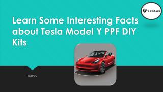 Learn Some Interesting Facts about Tesla Model Y.pdf