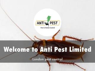 Anti Pest Limited Presentation.pdf