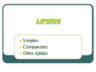 LIPIDOS1.pdf